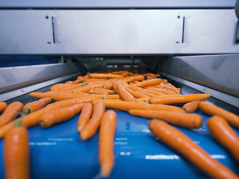 蔬菜輸送應用案例